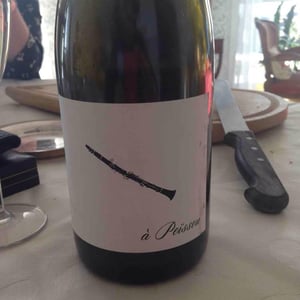 Domaine des Amiel - Aymeric & Jordan Amiel - À Peissou
