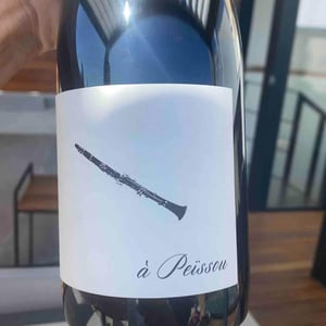 Domaine des Amiel - Aymeric & Jordan Amiel - À Peissou