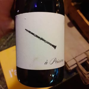 À Peissou - Domaine des Amiel - aymeric-jordan-amiel
