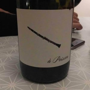 À Peissou - Domaine des Amiel - aymeric-jordan-amiel