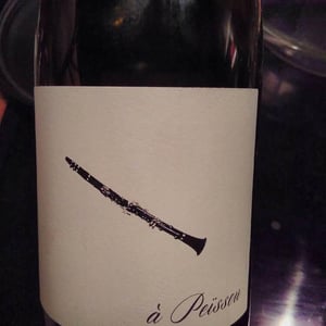 À Peissou - Domaine des Amiel - aymeric-jordan-amiel