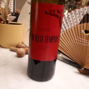 In Illo Tempore - Domaine du Verdouble - laurent-battist-closed