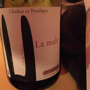 La Mule - Chahut et Prodiges - Gregory Leclerc 