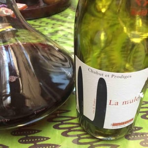 La Mule - Chahut et Prodiges - gregory-leclerc