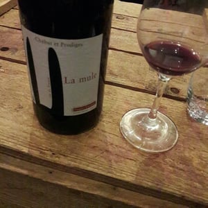 La Mule - Chahut et Prodiges - Gregory Leclerc 