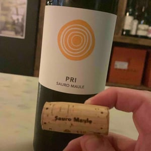 Pri - Azienda Agricola Il Cavallino - sauro-maule