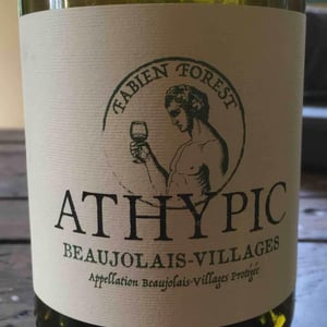 Athypic - Fabien Forest - fabien-forest