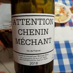 Le Clos des Treilles - Nicolas Reau - Attention Chenin Méchant