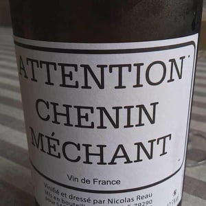 Le Clos des Treilles - Nicolas Reau - Attention Chenin Méchant