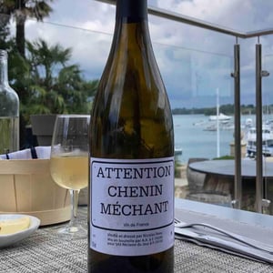 Le Clos des Treilles - Nicolas Reau - Attention Chenin Méchant