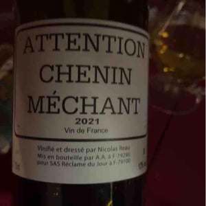 Le Clos des Treilles - Nicolas Reau - Attention Chenin Méchant