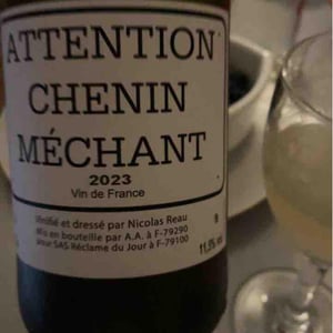 Le Clos des Treilles - Nicolas Reau - Attention Chenin Méchant