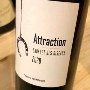 Attraction - Cabaret des Oiseaux - Jude & Lucile Spaety -2020