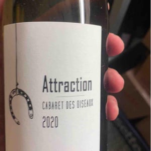 Attraction - Cabaret des Oiseaux - Jude & Lucile Spaety -2020