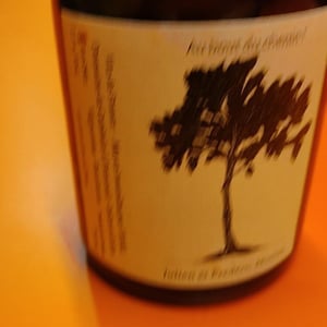 Au Bout Du Chenin - Domaine De Cambalu - julien-frederic-moreau
