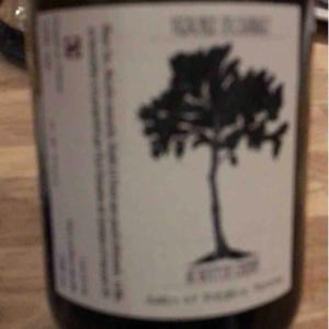 Au Bout Du Chenin 2020 - Domaine De Cambalu - Julien & Frédéric Moreau