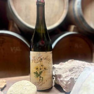Au Bouteau D’Or - Domaine Sauveterre - Ghislaine & Jerôme Guichard 