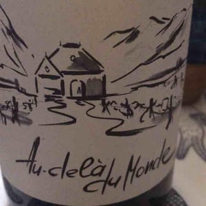 Au Dela Du Monde - Domaine Des Rutissons - Laurent Fondimare et Wilfrid Debroize -2021