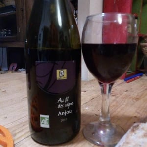 Au Fil des Vignes - Les Grandes Vignes - Laurence, Dominique & Jean-François Vaillant 