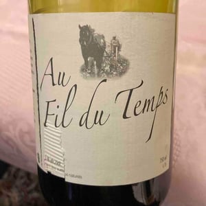 Au Fil Du Temps - Michel Guignier - Michel Guignier -2015
