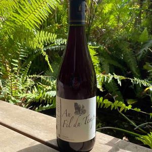 Au Fil Du Temps - Michel Guignier - michel-guignier -2015