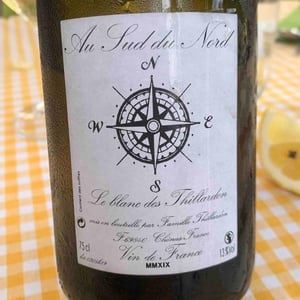 Au Sud Du Nord - Domaine Thillardon - aude-jean-baptiste-charles-et-paul-henri-thillardon -2019