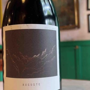 Auguste - Sous Le Vegetal - patrick-bouju-jason-ligas