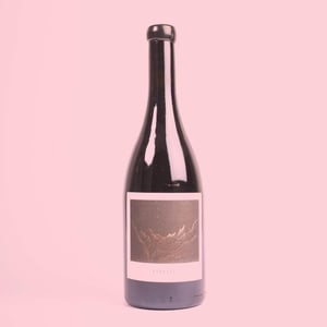 Auguste - Sous Le Vegetal - patrick-bouju-jason-ligas