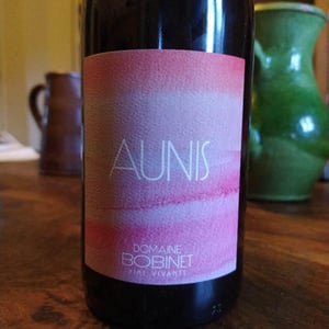Domaine Calvez-Bobinet - Sébastien Bobinet & Emeline Calvez - Aunis