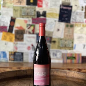 Aunis - Domaine Calvez-Bobinet - sebastien-bobinet-emeline-calvez