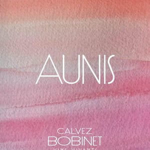 Aunis - Domaine Calvez-Bobinet - sebastien-bobinet-emeline-calvez