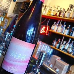 Aunis - Domaine Calvez-Bobinet - sebastien-bobinet-emeline-calvez