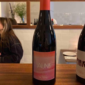 Aunis - Domaine Calvez-Bobinet - sebastien-bobinet-emeline-calvez