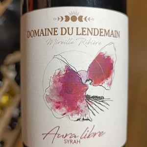 Aura Libre - Domaine du Lendemain - Mireille Ribière 