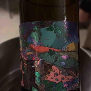 Aurore - Domaine De L’Enviegne - alexis-tondeur -2021