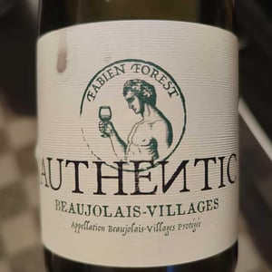 Authentic - Fabien Forest - Fabien Forest 