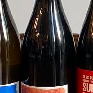 Automne - Domaine Passe Pont - david-landron -2022