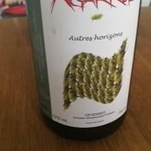 Autres Horizons - Agarrus - serge-scherrer