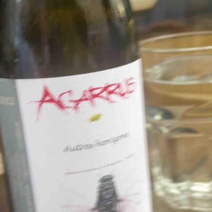 Autres Horizons - Agarrus - serge-scherrer
