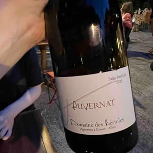Auvernat - Domaine Des Bérioles - jean-teissedre-sophie-et-jerome-roux -2021