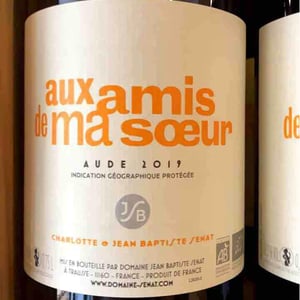 Aux Amis De Ma Sœur - Jean-Baptiste Senat - charlotte-jean-baptiste-senat
