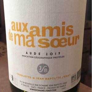 Aux Amis De Ma Sœur - Jean-Baptiste Senat - charlotte-jean-baptiste-senat
