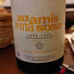 Aux Amis De Ma Sœur - Jean-Baptiste Senat - charlotte-jean-baptiste-senat
