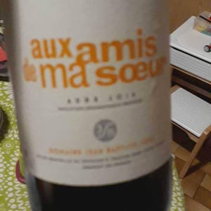 Aux Amis De Ma Sœur - Jean-Baptiste Senat - charlotte-jean-baptiste-senat