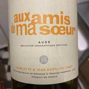 Aux Amis De Ma Sœur - Jean-Baptiste Senat - charlotte-jean-baptiste-senat