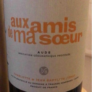 Aux Amis De Ma Sœur - Jean-Baptiste Senat - charlotte-jean-baptiste-senat