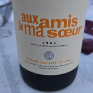 Aux Amis De Ma Sœur - Jean-Baptiste Senat - charlotte-jean-baptiste-senat