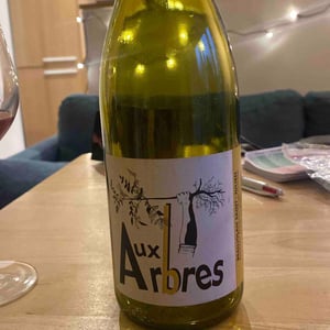 Aux Arbres - Tristan Rampon-Combrisson - Tristan Rampon-Combrisson -2020