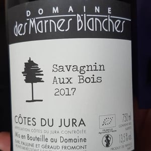 Aux Bois Savagnin - Domaine Des Marnes Blanches - Pauline & Géraud Fromont 