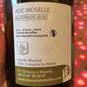 Auxerrois - Domaine les Béliers - eve-maurice